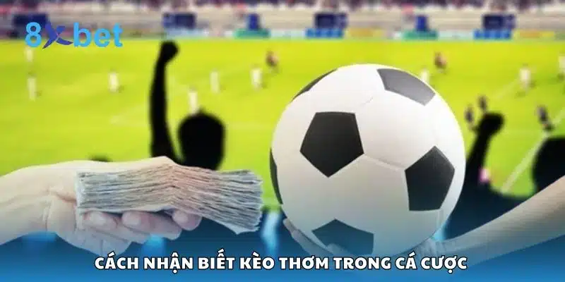 Cách nhận biết kèo thơm trong cá cược 