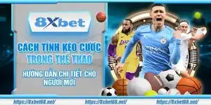 Cách tính kèo cược trong thể thao – Hướng dẫn chi tiết cho người mới