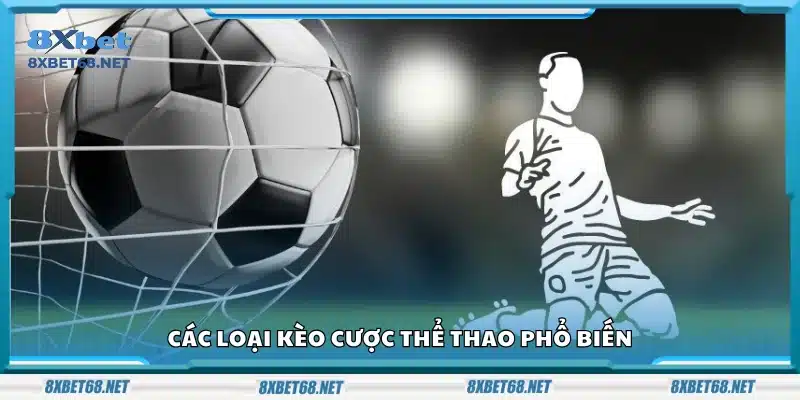 Những hình thức kèo cược thường gặp trong thể thao